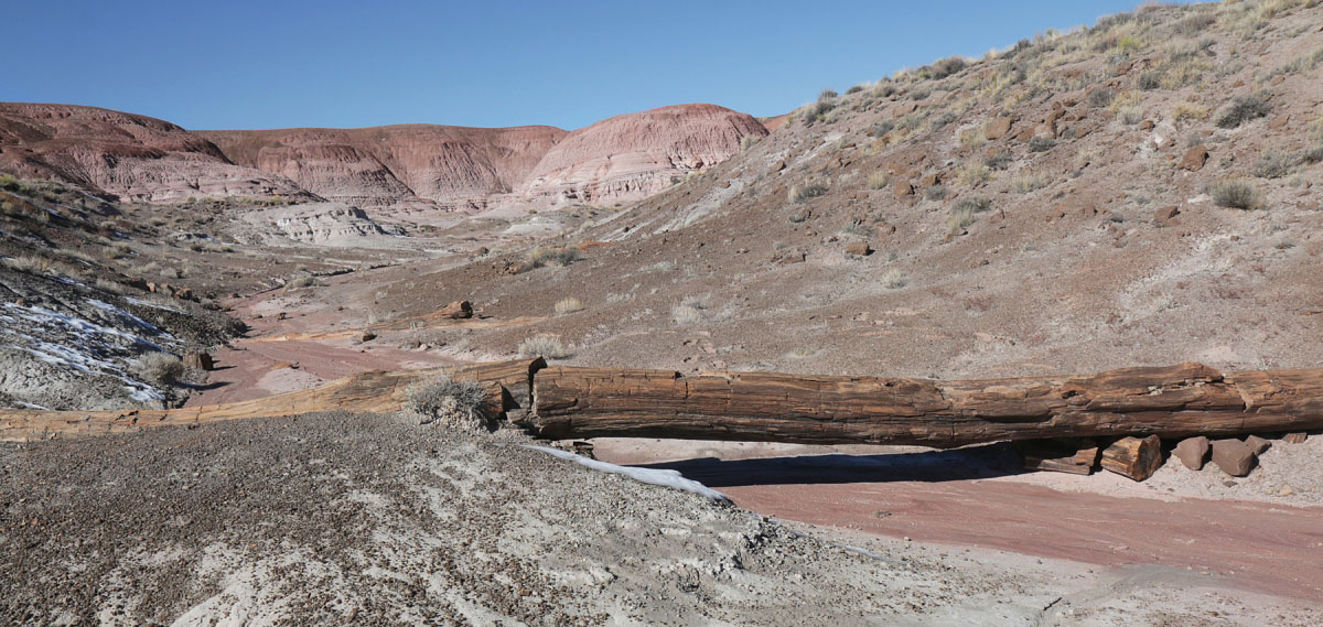 Hike Onyx Bridge and Angel's Garden in Petrified Forest National Park, Arizona - Stav is Lost