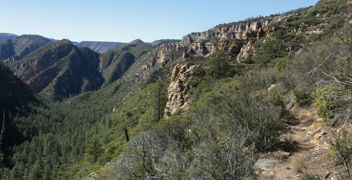 Hike Loy Canyon in Coconino National Forest, Arizona - Stav is Lost
