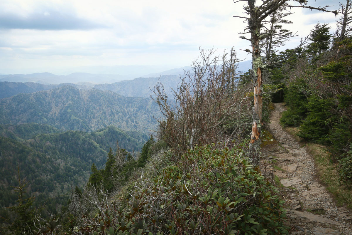 Hike Mount LeConte via Rainbow Falls and Bull Head Loop in Great Smoky Mountains National Park, Tennessee - Stav is Lost