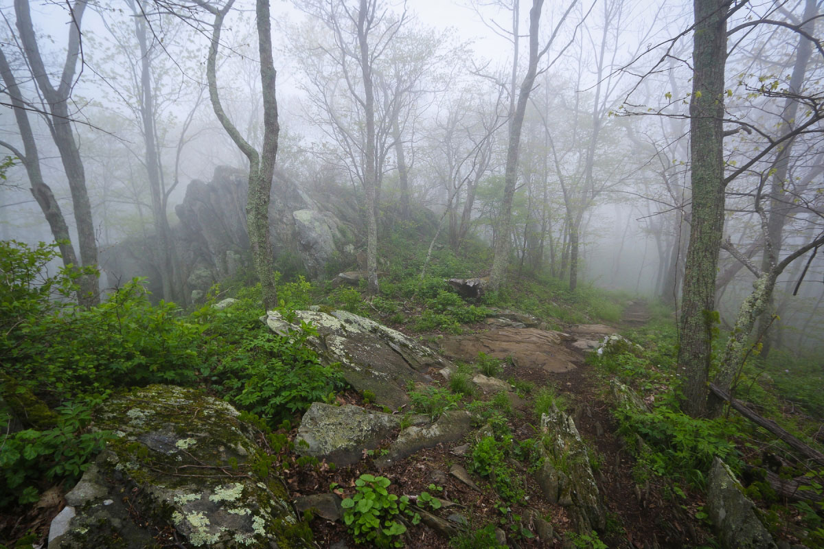 Hike Bearfence Mountain in Shenandoah National Park, Virginia - Stav is Lost