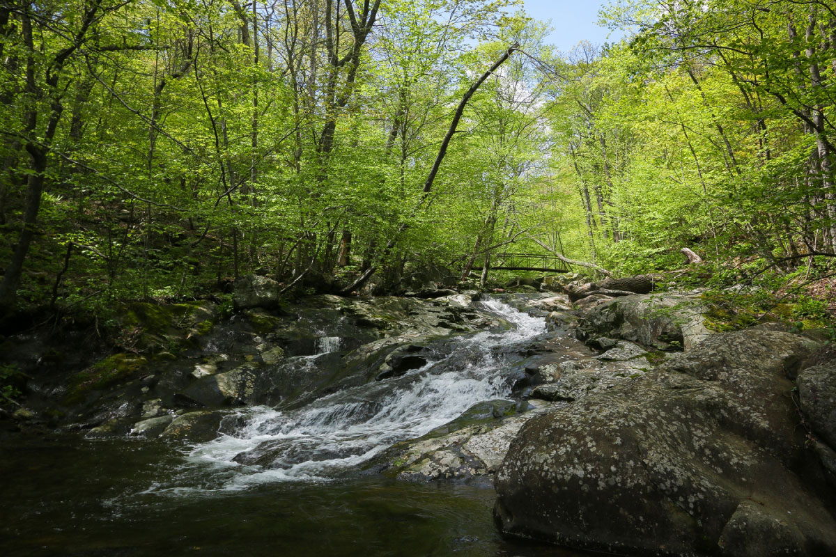 Hike Cedar Run and Whiteoak Canyon Loop in Shenandoah National Park, Virginia - Stav is Lost