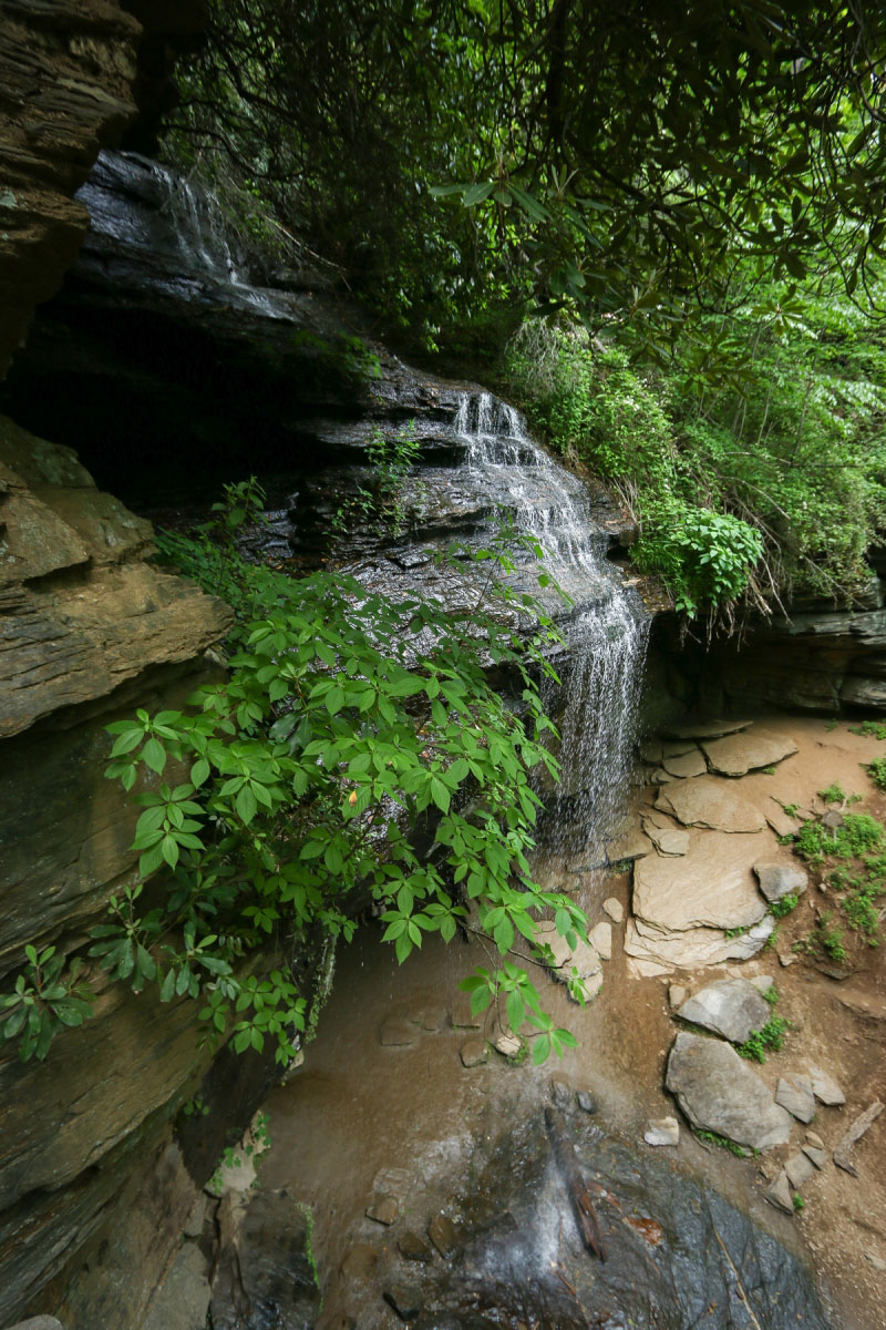 Hike Moore Cove Falls in Pisgah National Forest, North Carolina - Stav is Lost