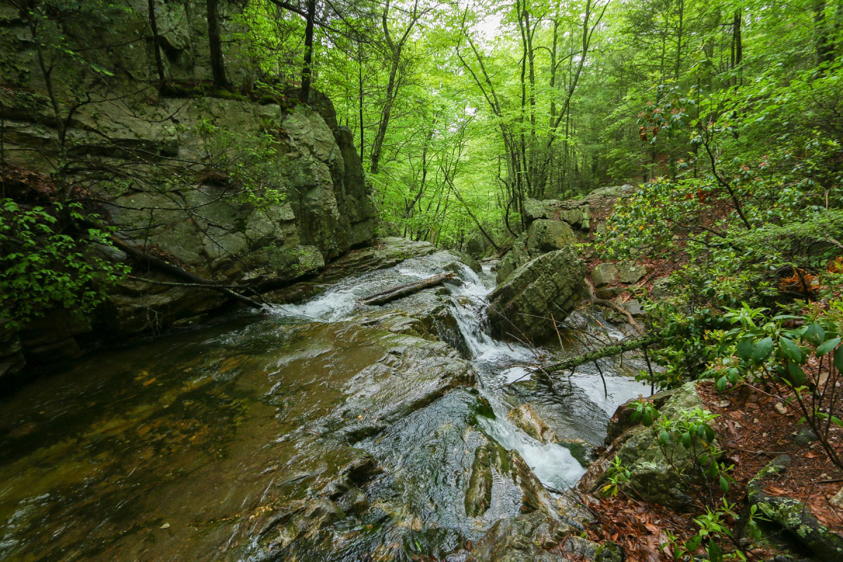 Hike Riprap Loop in Shenandoah National Park, Virginia - Stav is Lost
