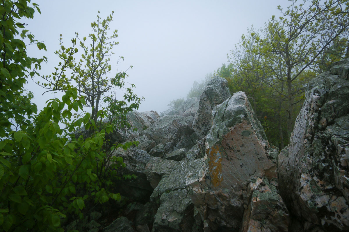 Hike Turk Mountain in Shenandoah National Park, Virginia - Stav is Lost