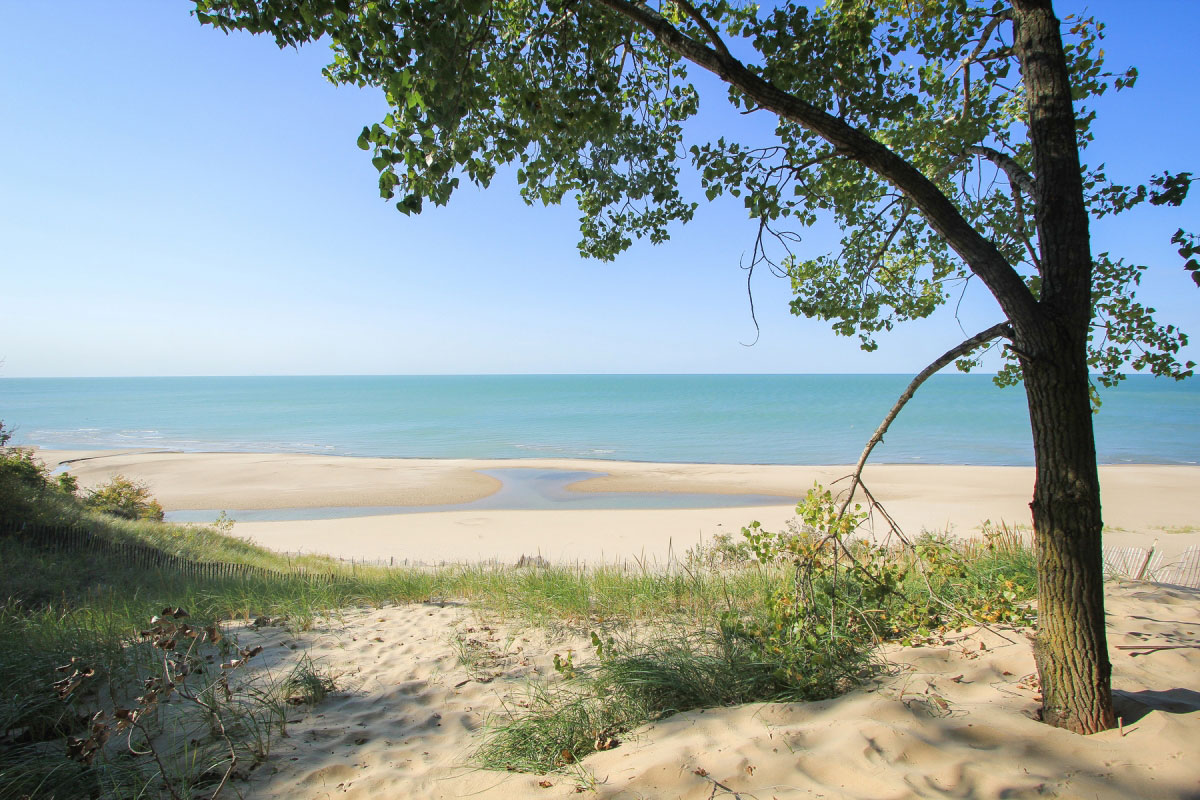Hike Indiana Dunes Trails in Indiana Dunes National Park, Indiana - Stav is Lost