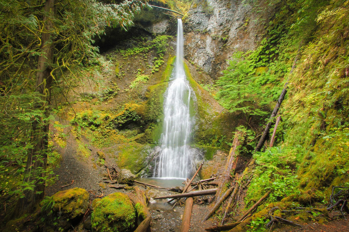 Hike Marymere Falls in Olympic National Park, Washington - Stav is Lost