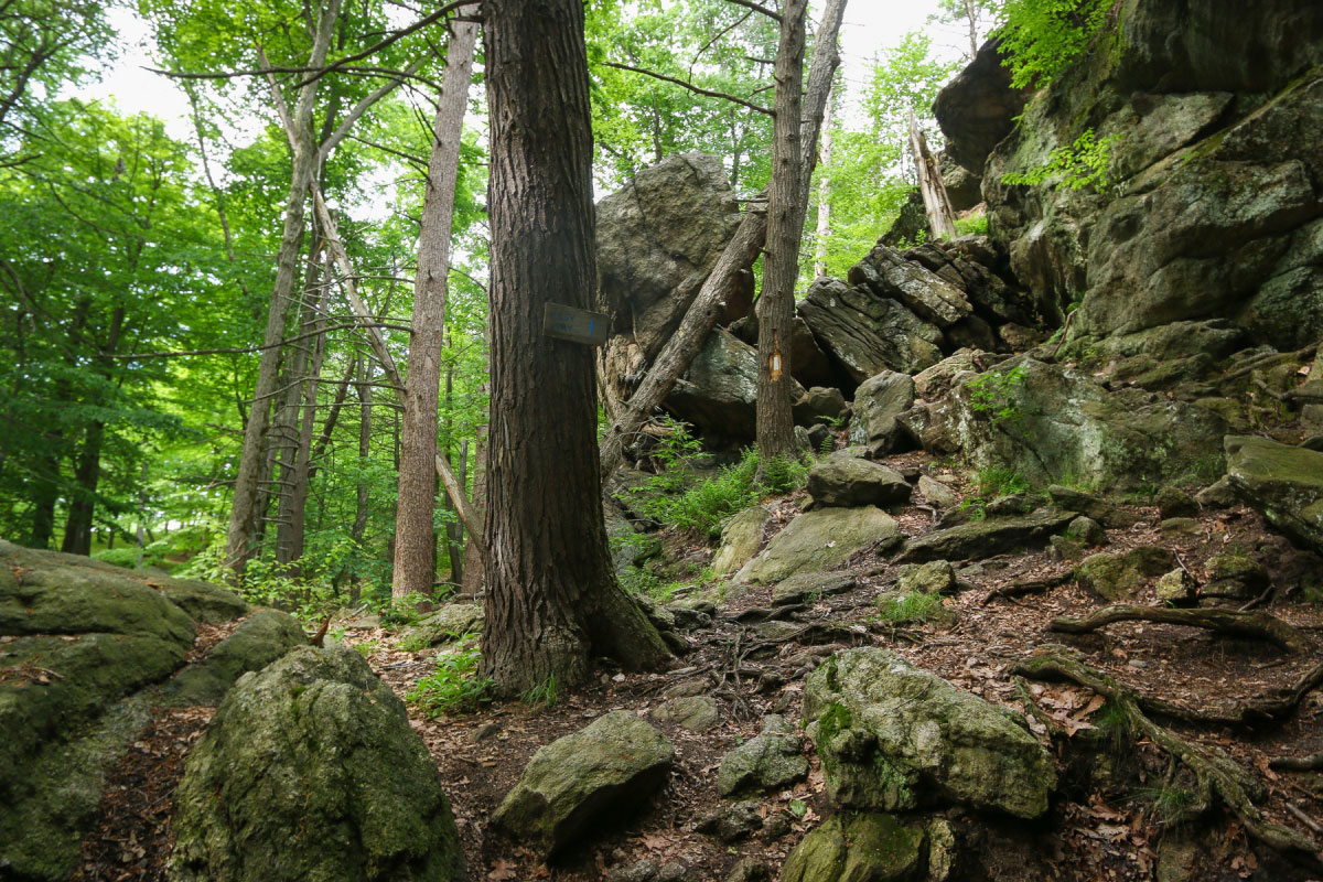Hike Lemon Squeezer via Fingerboard Mountain in Harriman State Park, New York - Stav is Lost