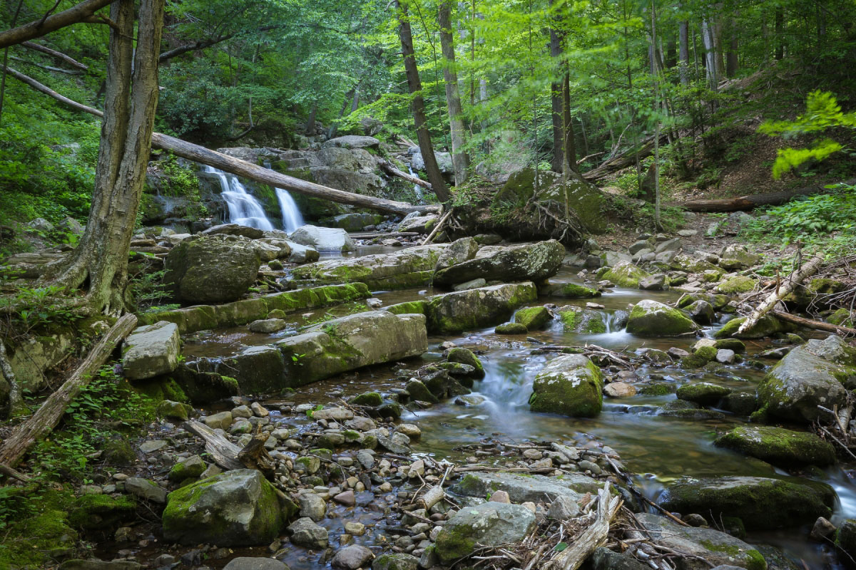 Hiking Mount Tammany, Sunfish Pond, Dunnfield Creek Loop in Delaware