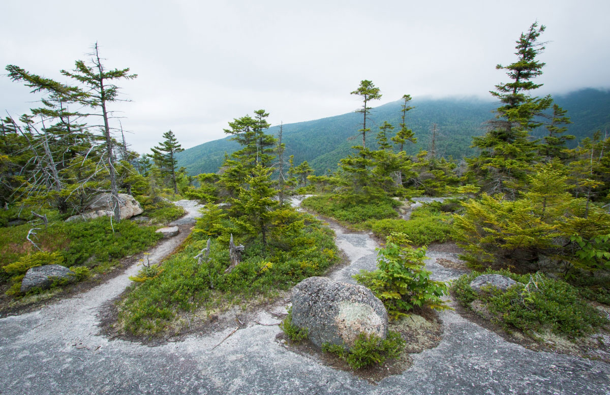 Hike Jennings Peak, Sandwich Mountain, Drakes Brook Loop in White Mountain National Forest, New Hampshire - Stav is Lost