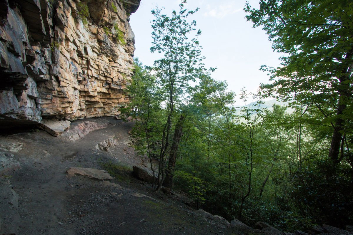 Hike Castle Rock Loop in New River Gorge National Park, West Virginia - Stav is Lost