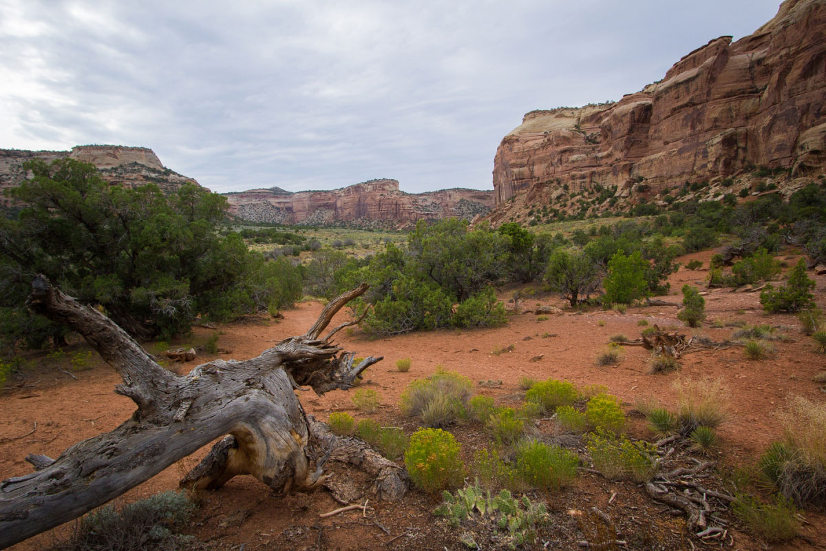 Hike Ute Canyon and Upper Liberty Cap Loop in Colorado National Monument, Colorado - Stav is Lost