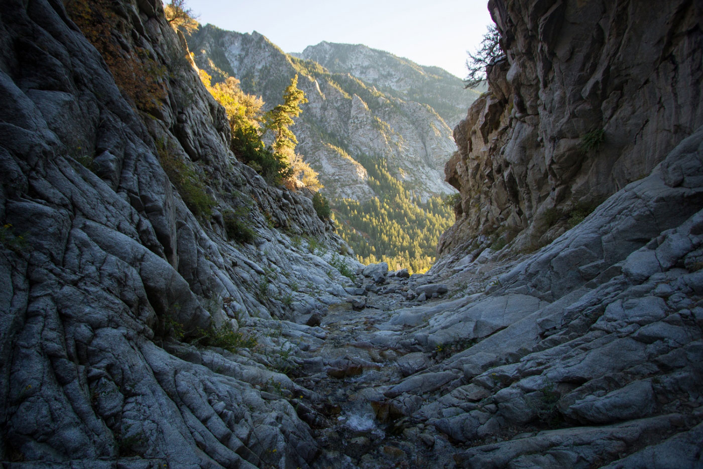 Hike Twin Peaks via Lisa Falls and Canyon in Wasatch-Cache National Forest, Utah - Stav is Lost