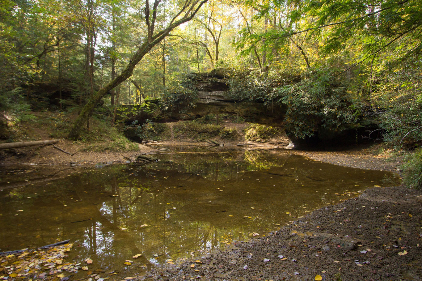 Hike Rock Bridge and Turtle Back Arch in Daniel Boone National Forest, Kentucky - Stav is Lost