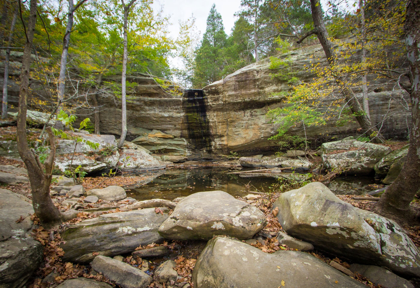 Hike Jackson Falls and Cliffs Loop in Shawnee National Forest, Illinois - Stav is Lost