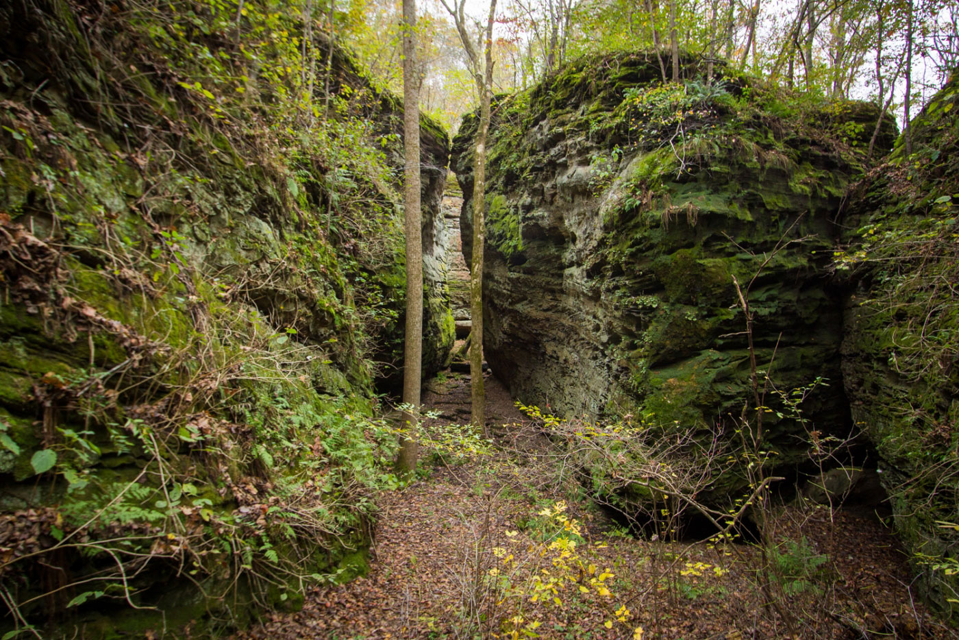 Hike Panther Den Loop in Shawnee National Forest, Illinois - Stav is Lost