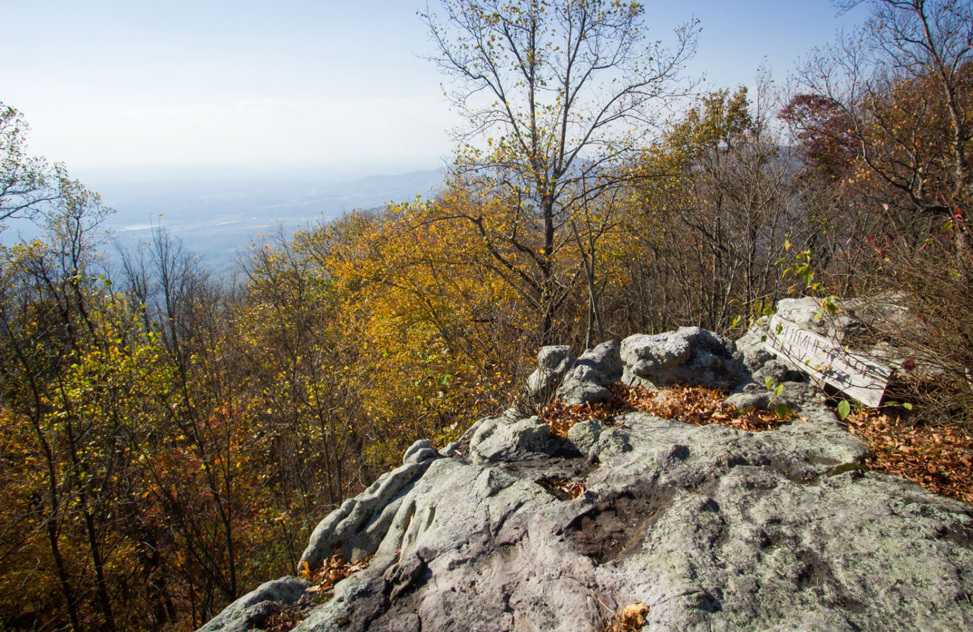 Hike Chimney Top Mountain via Spicewood Branch Loop in Frozen Head State Park, Tennessee - Stav is Lost