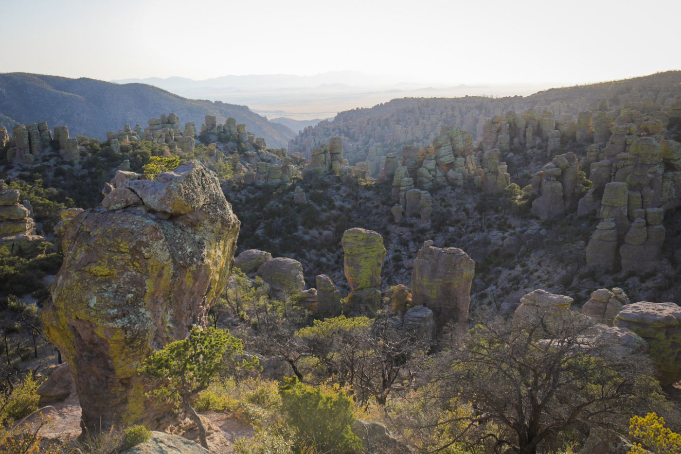 Hike Echo Canyon and Hailstone Loop in Chiricahua National Monument, Arizona - Stav is Lost