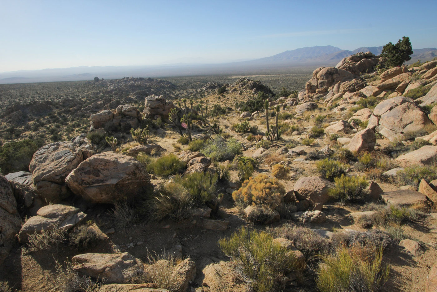 Hike Teutonia Peak Trail in Mojave National Preserve, California - Stav is Lost
