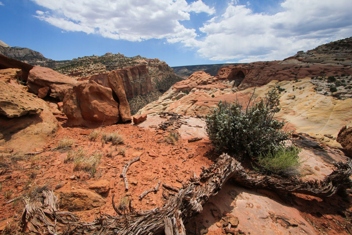 Hike Frying Pan Trail, Cassidy Arch, Grand Wash Loop in Capitol Reef National Park, Utah - Stav is Lost