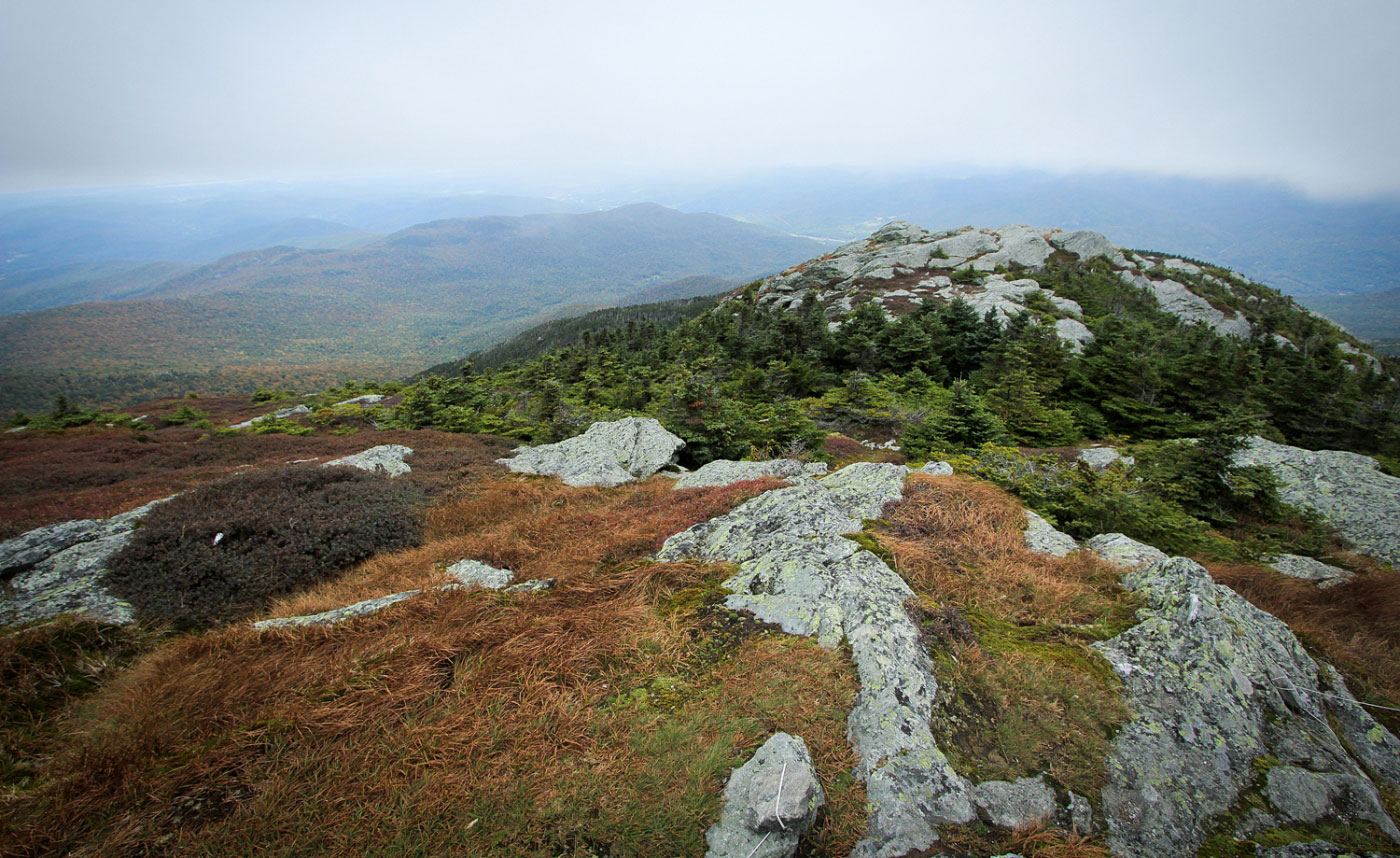 Hike Camel's Hump via Monroe Trail in Camels Hump State Park, Vermont - Stav is Lost