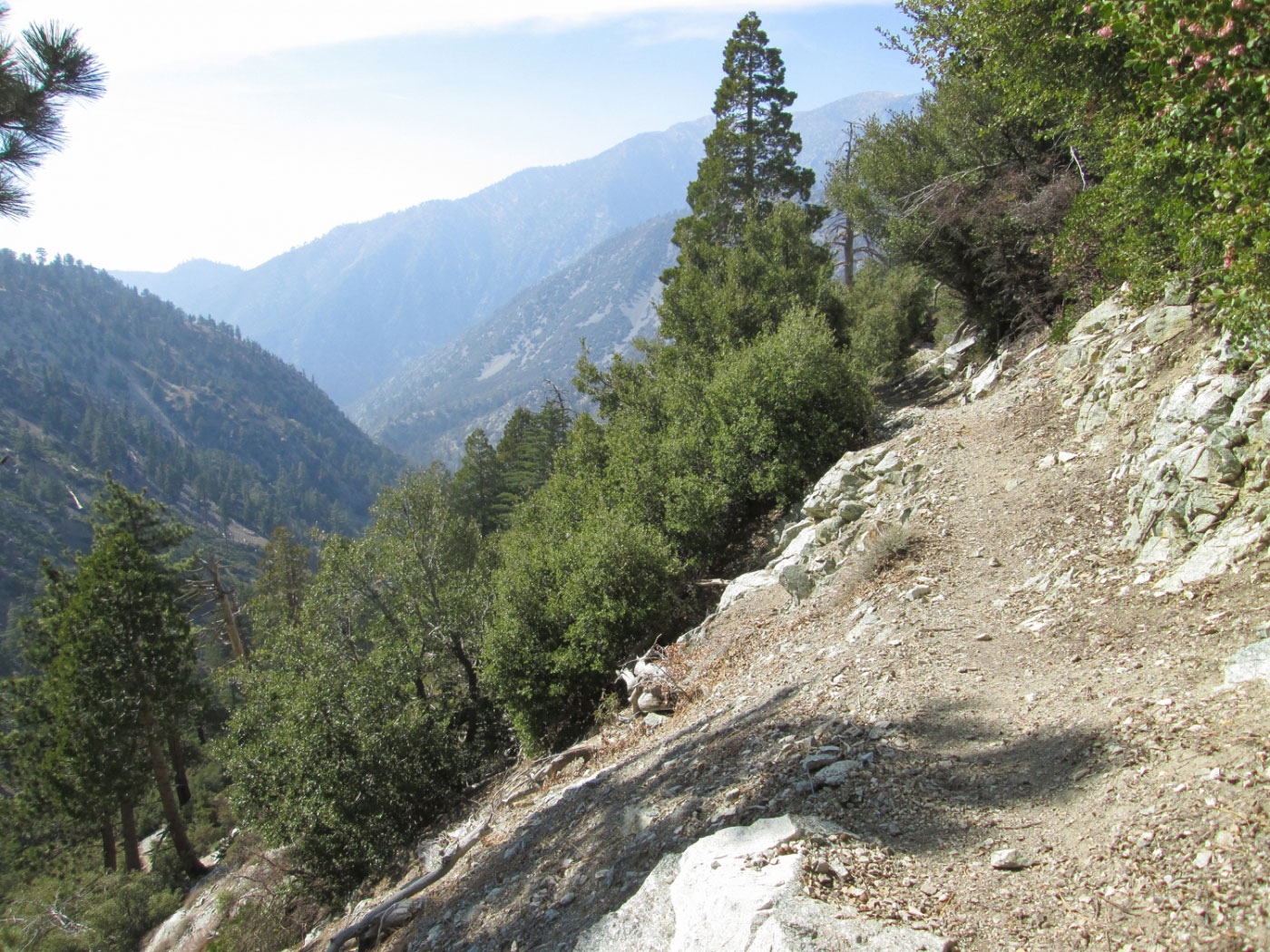 Hike Cucamonga Peak via Ice House and Chapman Trail in Angeles National Forest, California - Stav is Lost