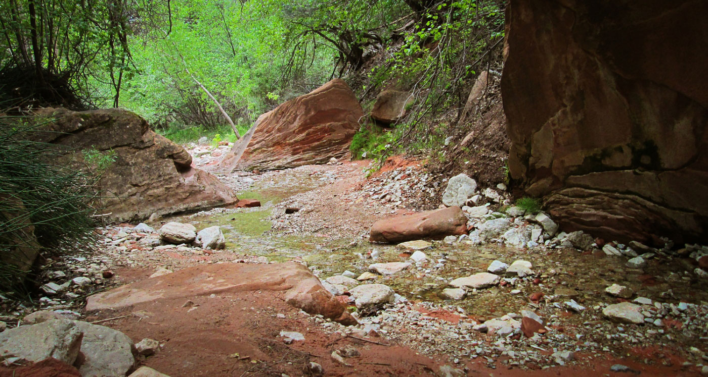 Hike Middle Fork of Taylor Creek in Zion National Park, Utah - Stav is Lost