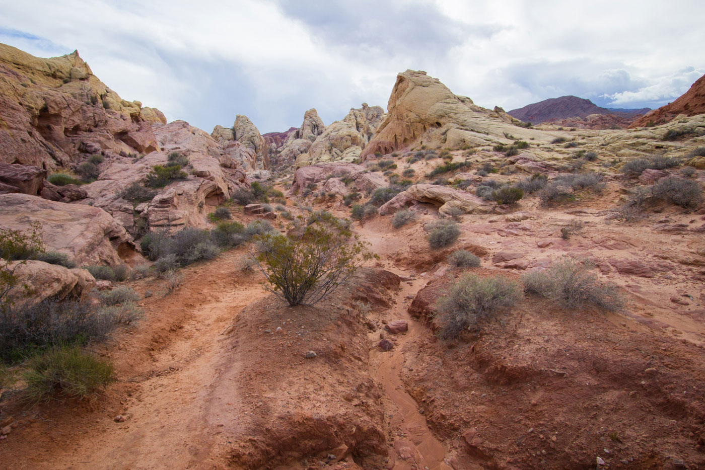 Hike White Domes Trail in Valley of Fire State Park, Nevada - Stav is Lost