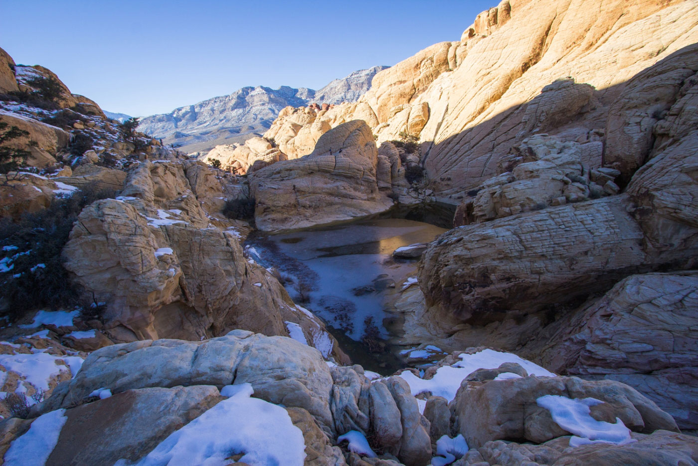 Hike Calico Tanks Trail in Red Rock Canyon National Conservation Area, Nevada - Stav is Lost