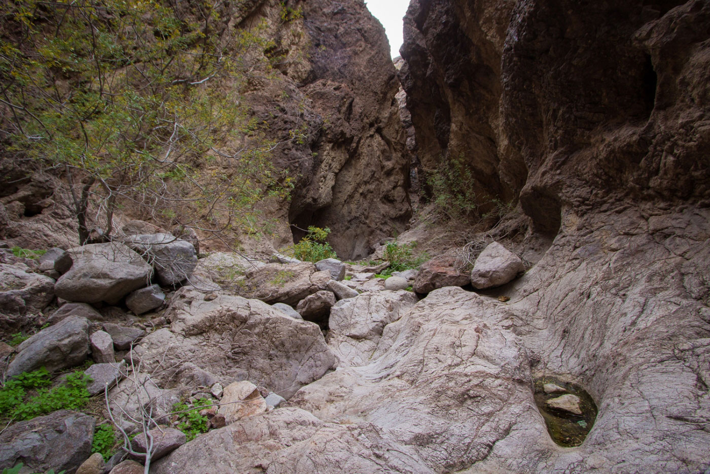 Motorcycle and Telephone Canyons Loop in Lake Mead National Recreation Area, NV
