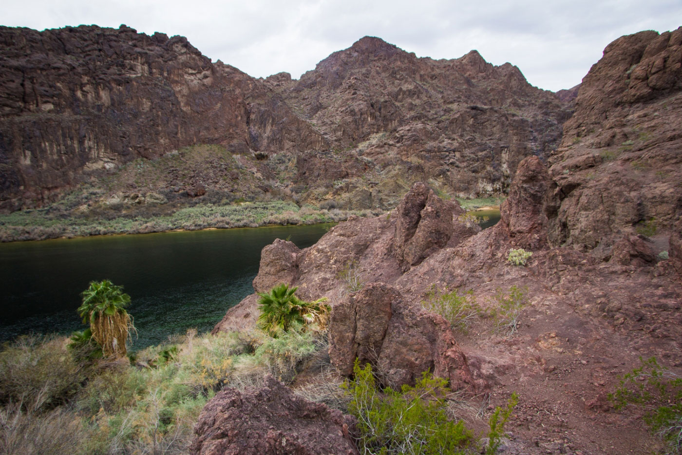 Hike Lone Palm and Lost Man Hot Springs Loop in Lake Mead National Recreation Area, Arizona - Stav is Lost