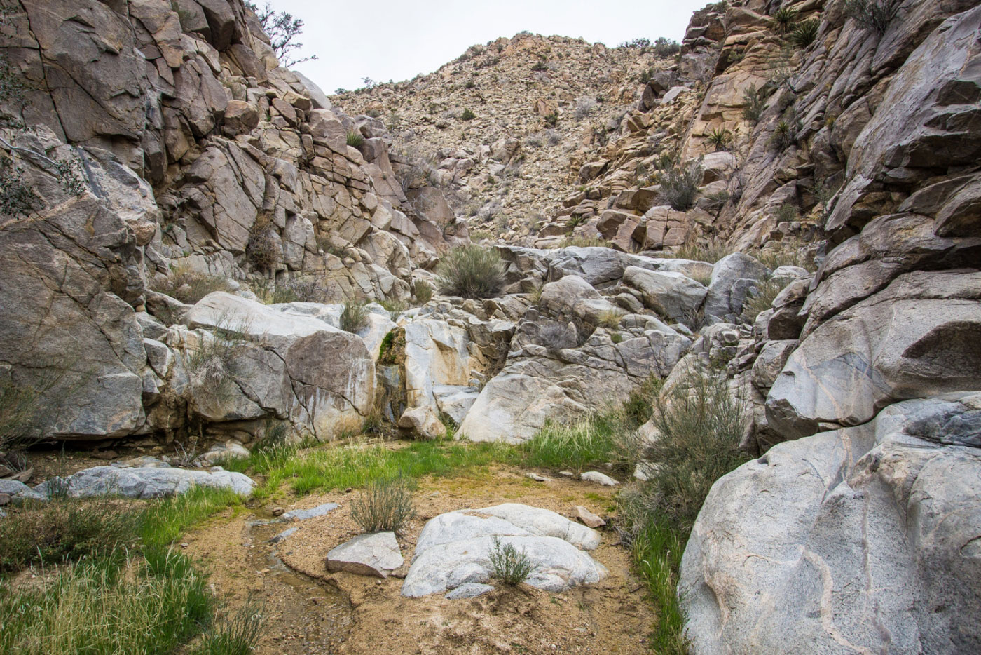 Hike Smith Water Canyon Loop in Joshua Tree National Park, California - Stav is Lost