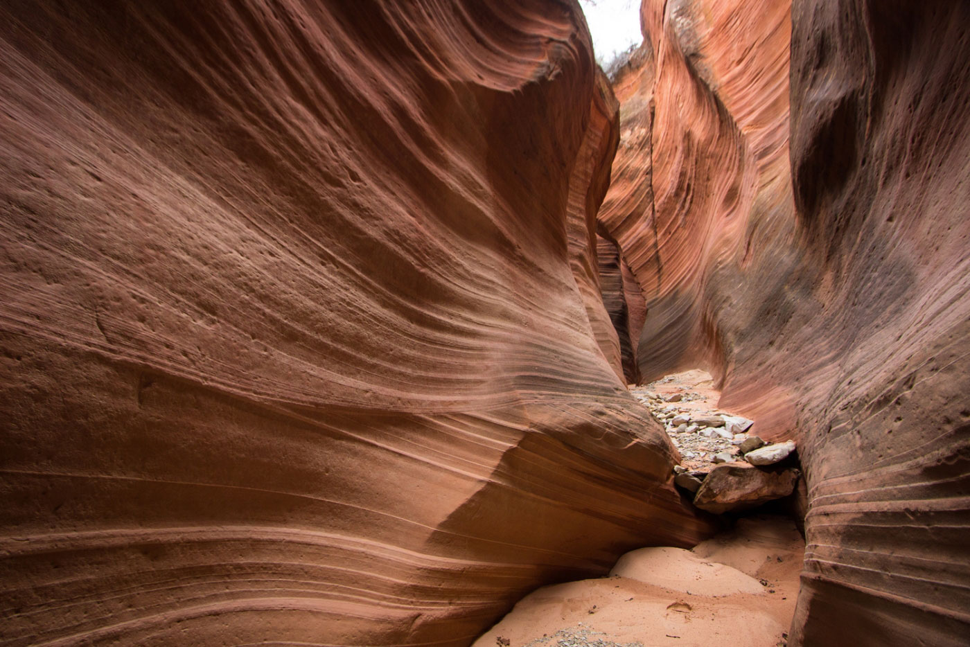 Hiking Sand Wash (Red Cave) Loop in Elkheart Cliffs BLM, Utah
