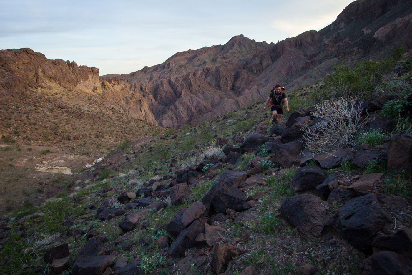 Weeping Springs and Bighorn Canyons Loop in Lake Mead National Recreation Area, NV