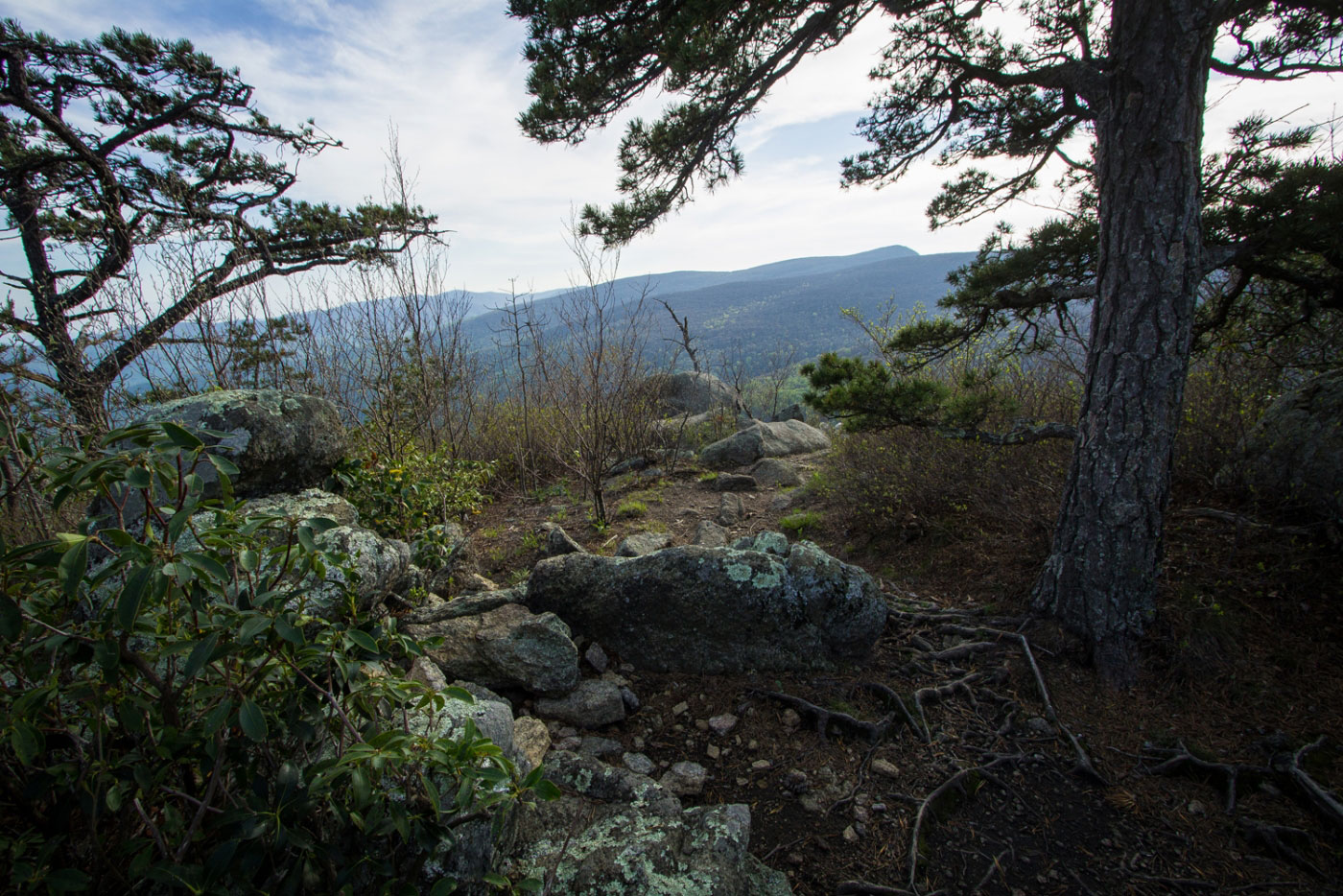Hike Robertson Mountain via Corbin Hollow Loop in Shenandoah National Park, Virginia - Stav is Lost
