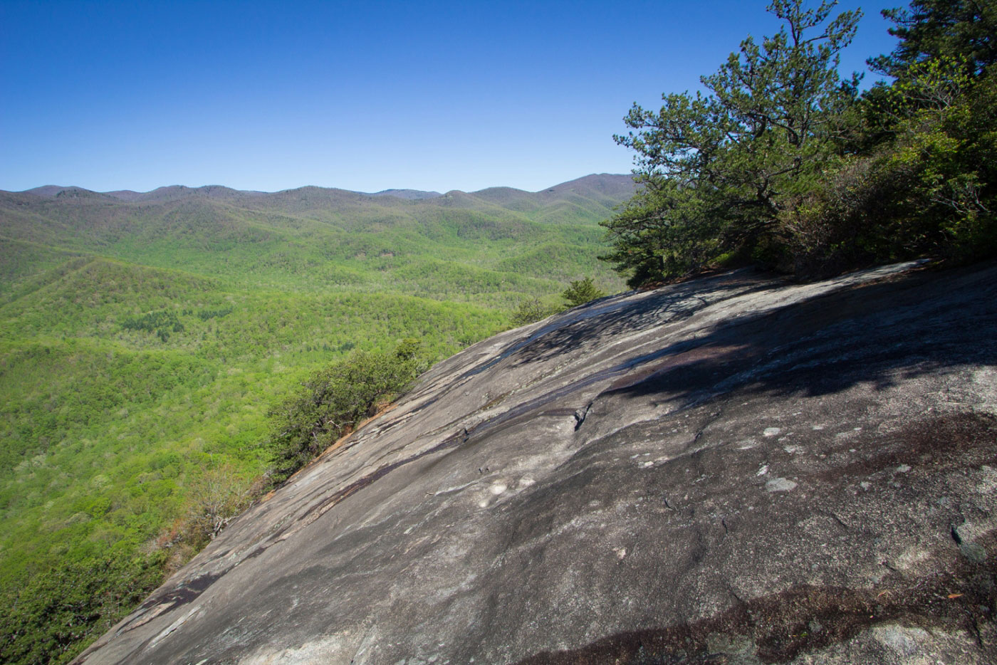 Hike Looking Glass Rock in Pisgah National Forest, North Carolina - Stav is Lost