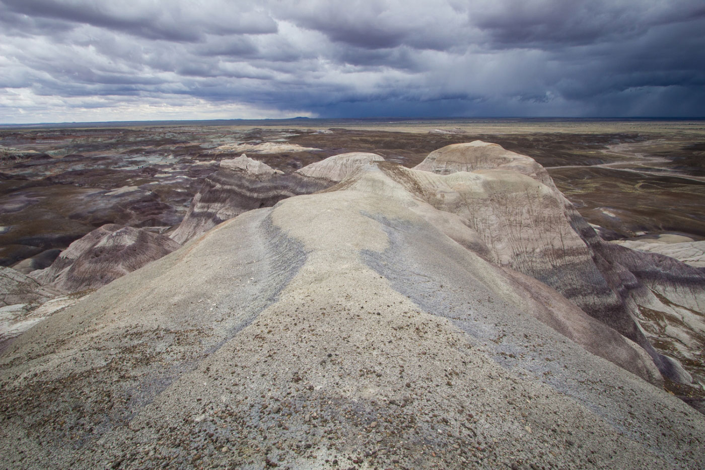 Hike Blue Forest and Blue Mesa Trails in Petrified Forest National Park, Arizona - Stav is Lost