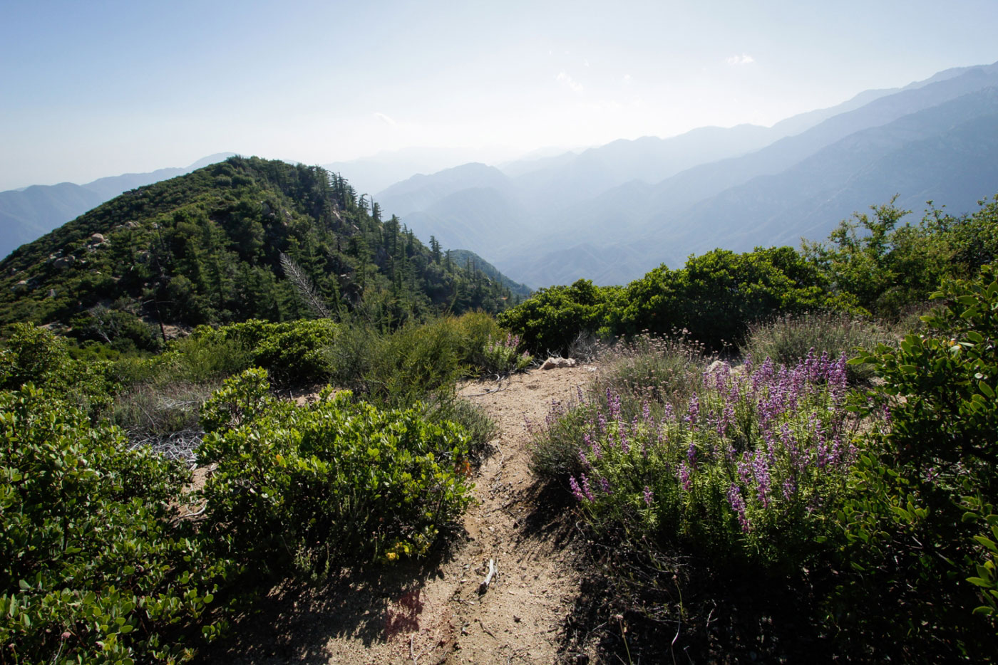 Hike Smith Mountain via Upper Bear Creek in Angeles National Forest, California - Stav is Lost