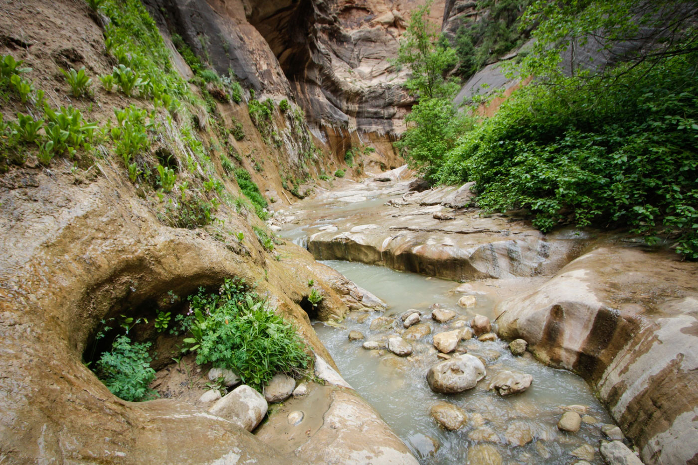 Canyoneer Birch Hollow and Orderville Canyon in Zion National Park, Utah - Stav is Lost