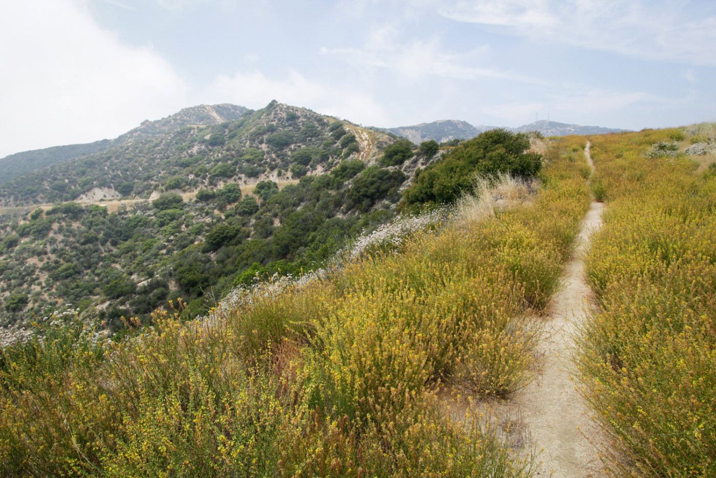 Hiking Mount Thom and Tongva Peak Loop in Verdugo Mountains, California