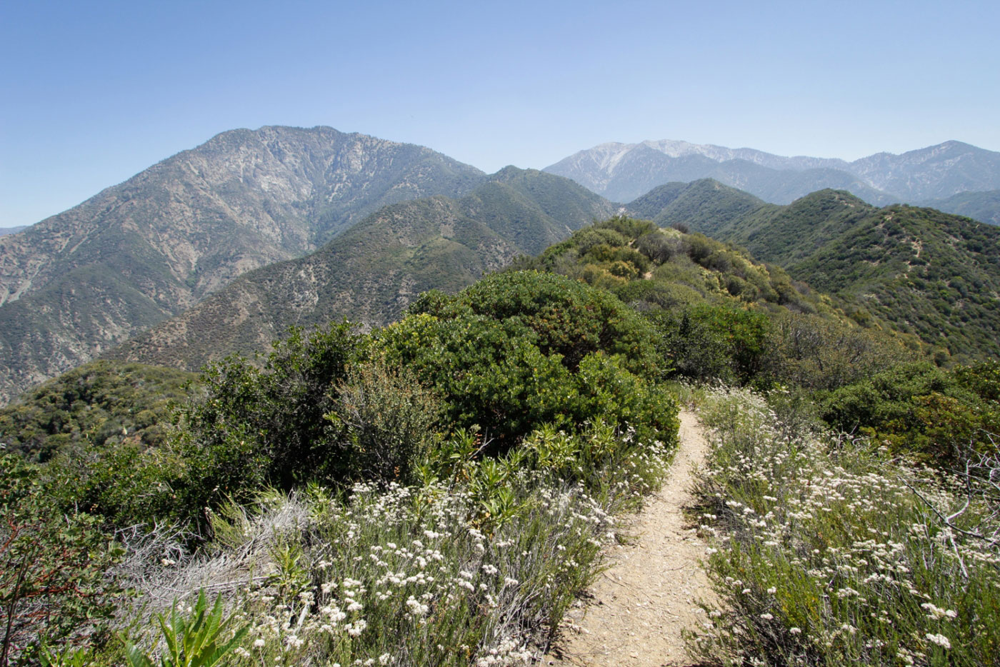 Hike Iron Mountain via Heaton Flat Trail in Angeles National Forest, California - Stav is Lost