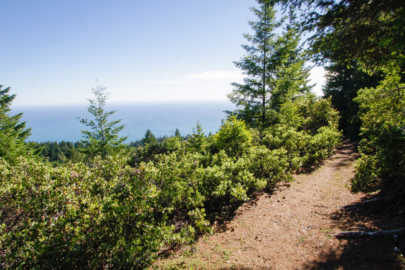 Hike Chamisal Mountain via Lost Coast Trail in King Range National Conservation Area, California - Stav is Lost