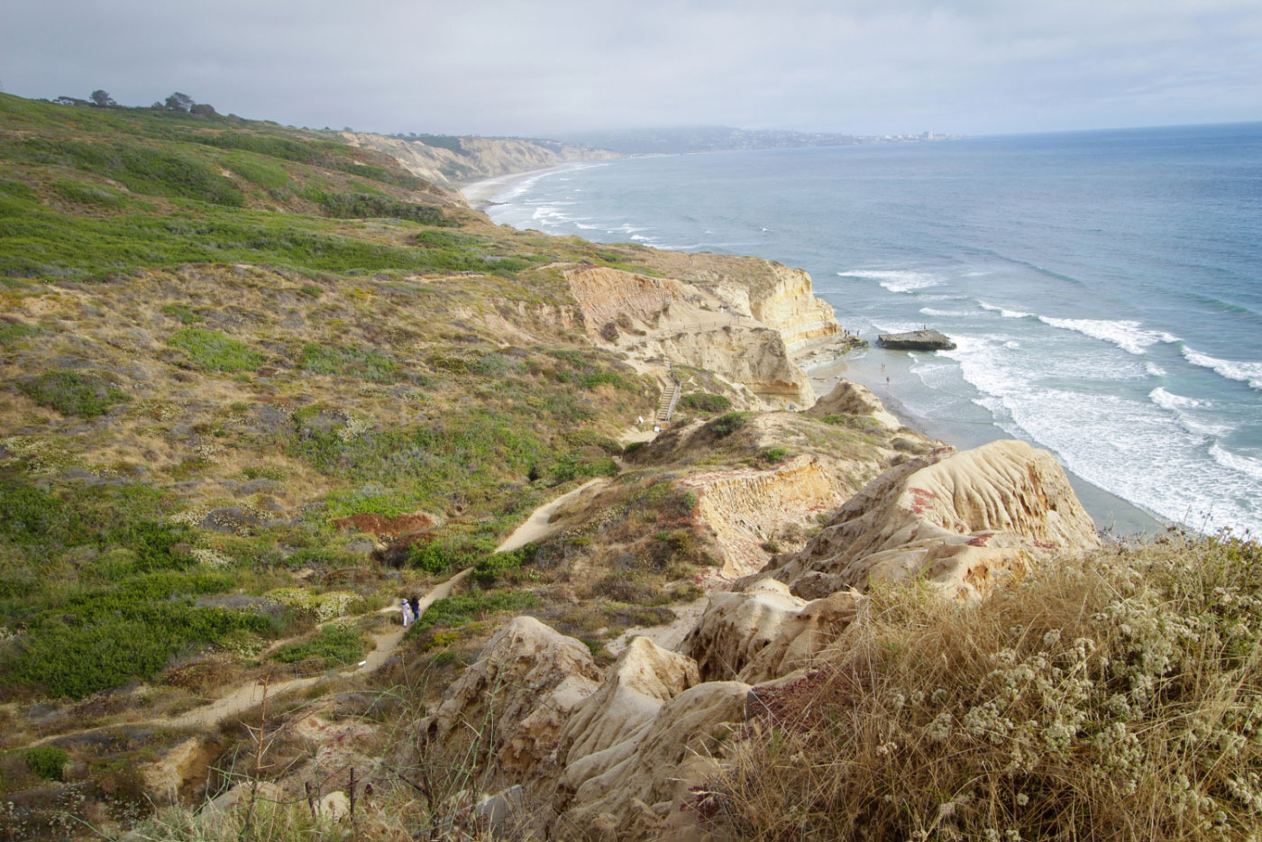 Hike Razor Point and Beach Trail Loop in Torrey Pines State Natural Reserve, California - Stav is Lost