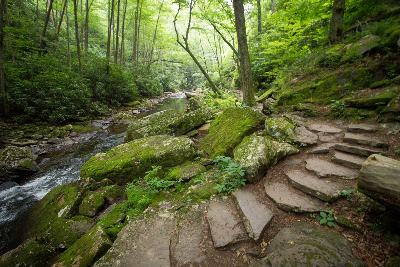 Hike Barney's Wall via Cascade Falls in Jefferson National Forest, Virginia - Stav is Lost