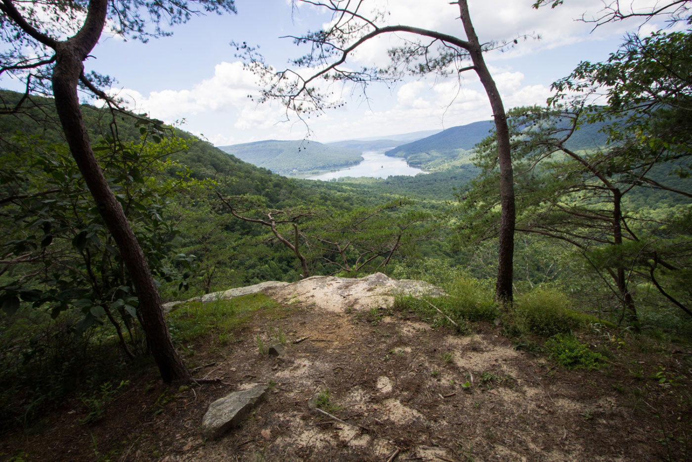 Hike Pot Point Loop in Prentice Cooper State Forest, Tennessee - Stav is Lost