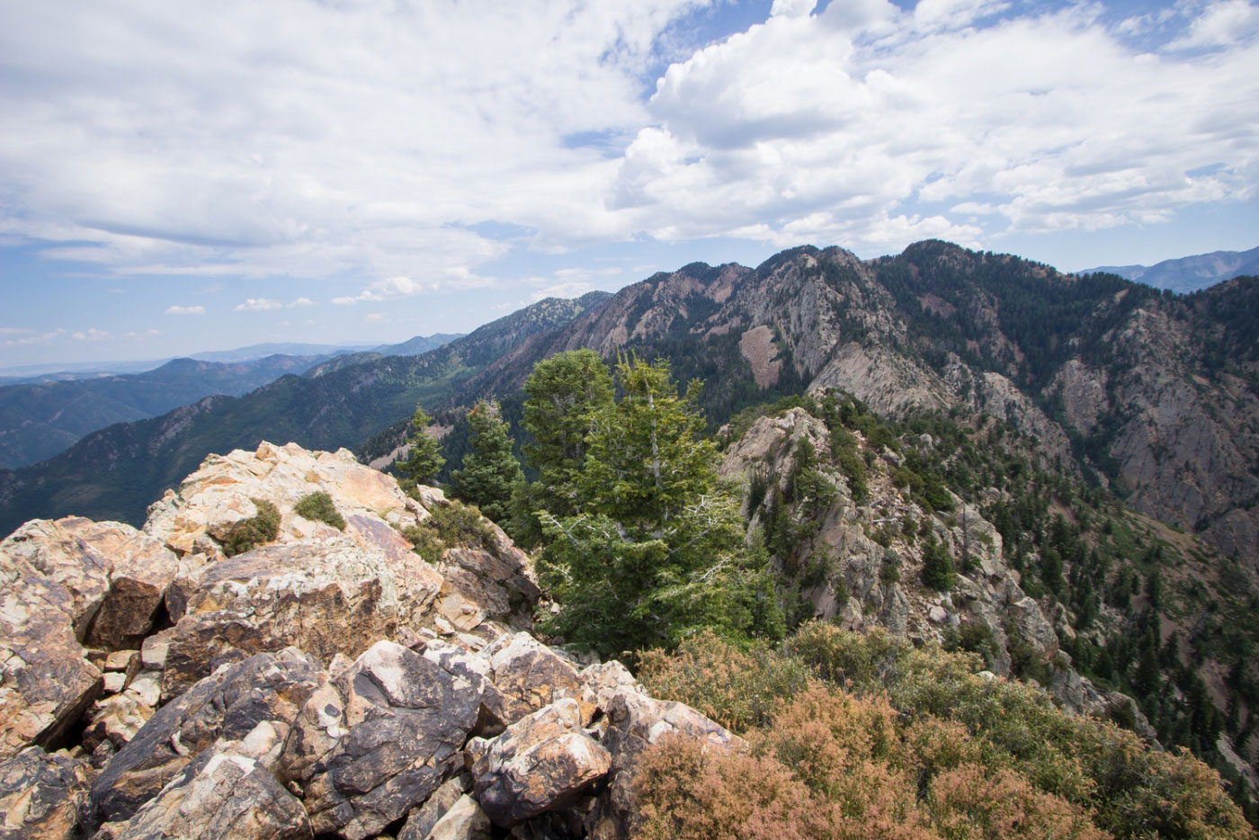 Hike Mount Olympus in Wasatch-Cache National Forest, Utah - Stav is Lost
