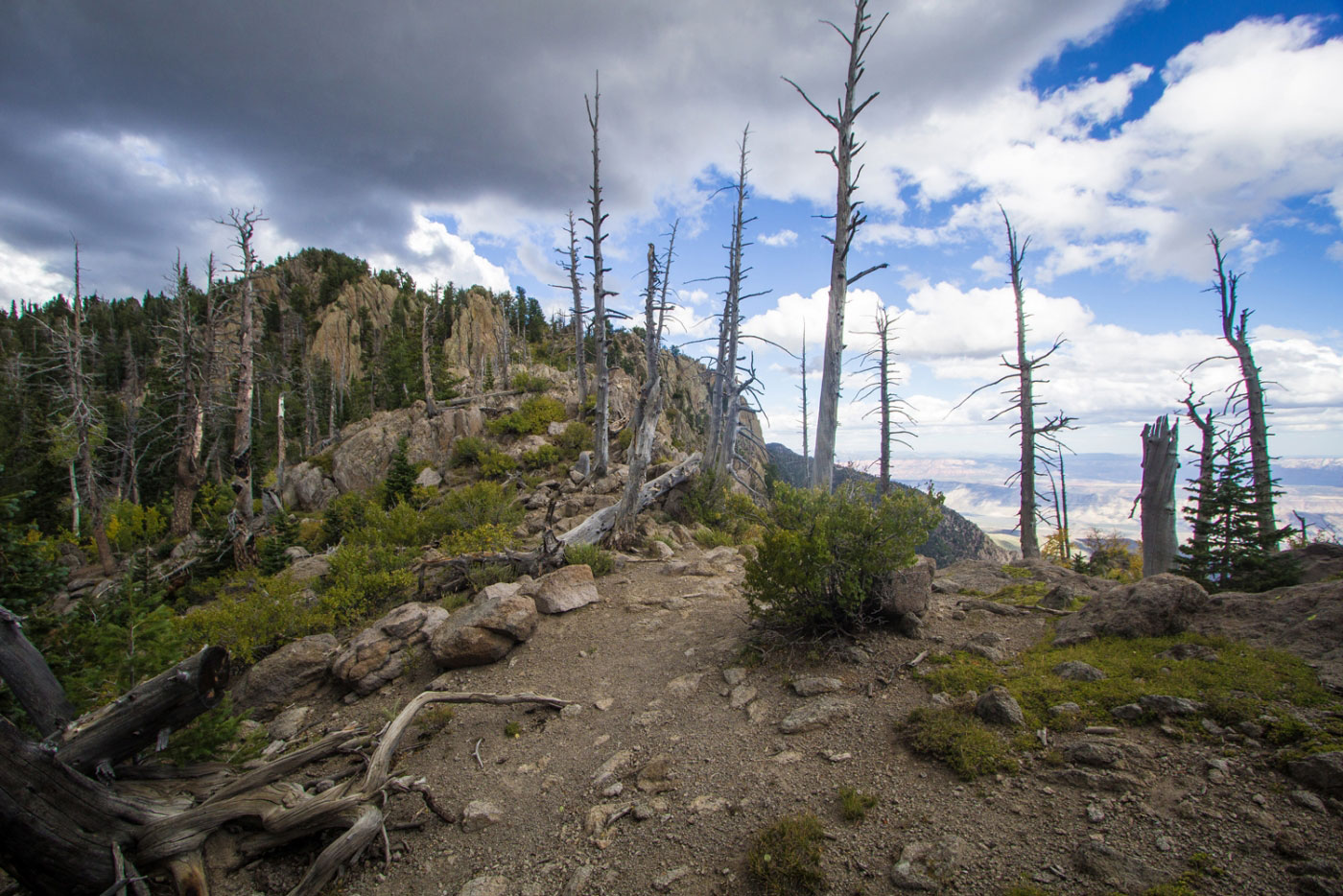 Hike Signal Peak via Oak Grove Trail in Dixie National Forest, Utah - Stav is Lost