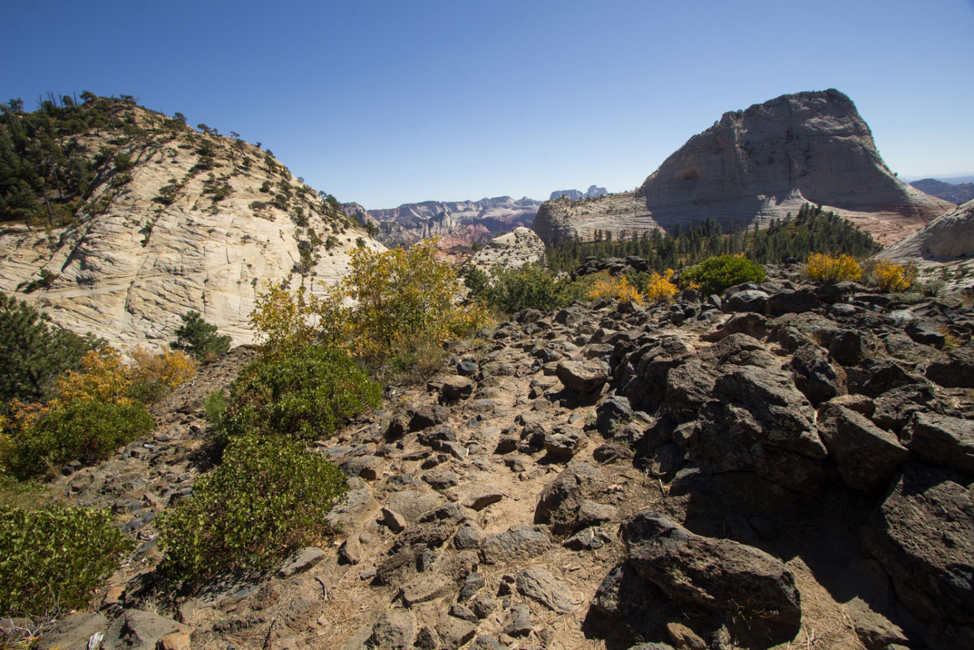 Hiking North Guardian Angel in Zion National Park, Utah
