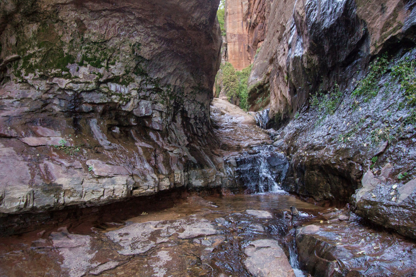Canyoneer Water Canyon in Canaan Mountain Wilderness Area BLM, Utah - Stav is Lost