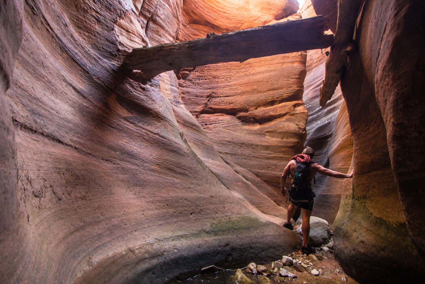 Canyoneer Fat Man's Misery (West Fork) in Zion National Park, Utah - Stav is Lost