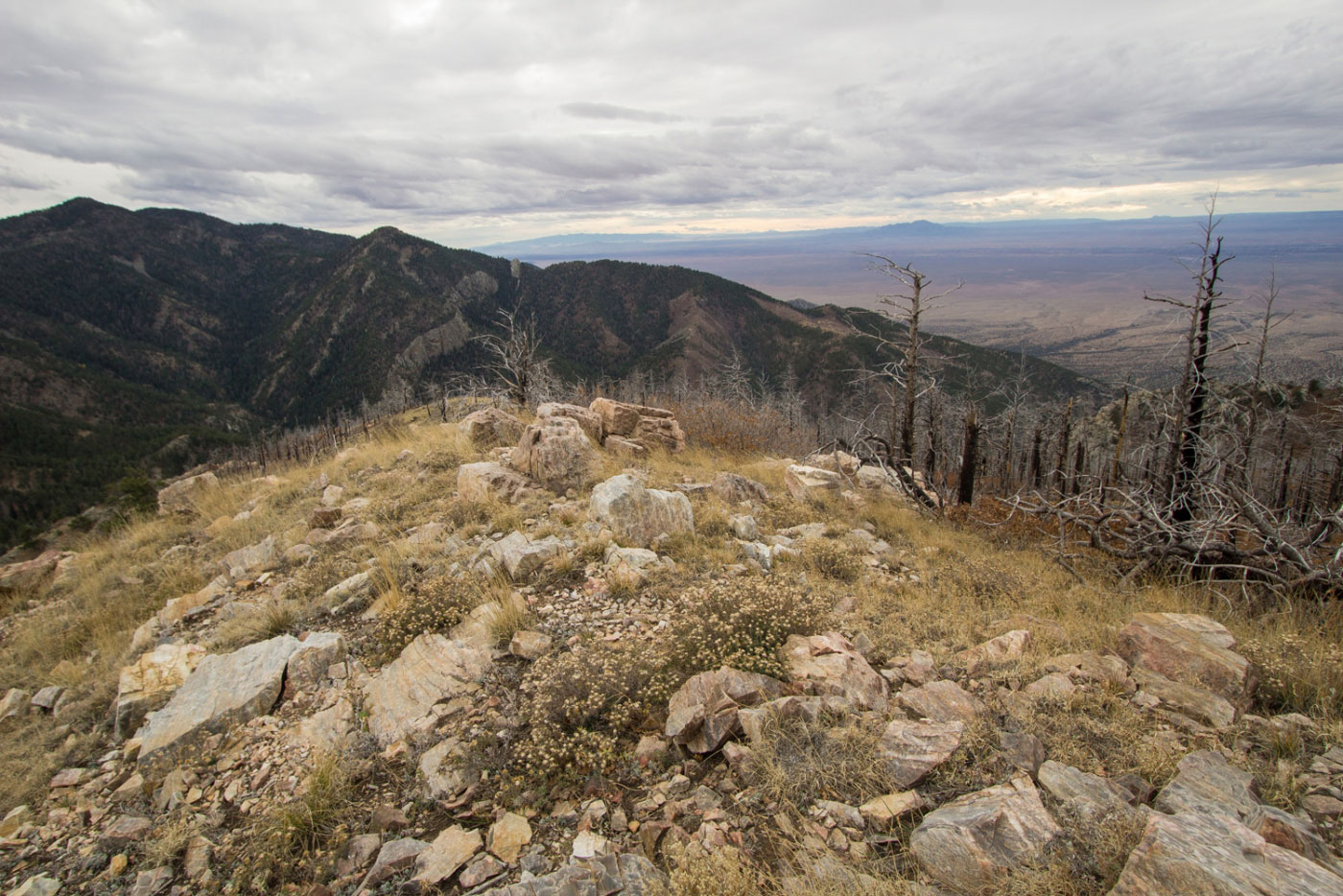 Hike Osha Peak via Trigo Canyon in Cibola National Forest, New Mexico - Stav is Lost